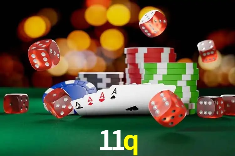 Experiência VIP 11q