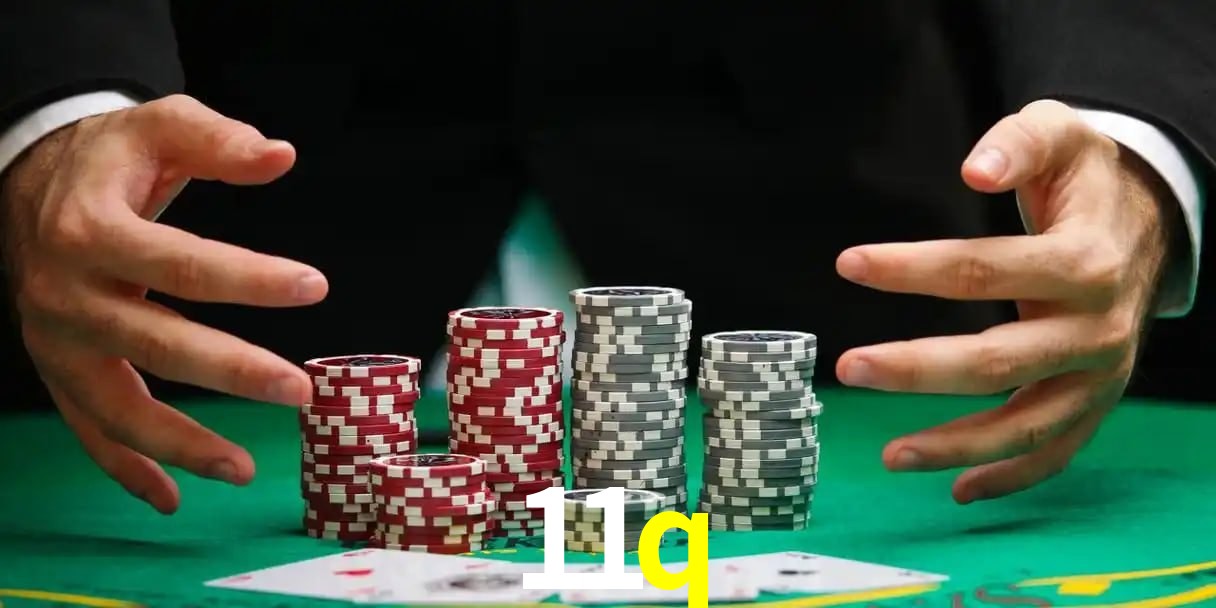 11q Aplicativo - 11q visual 1