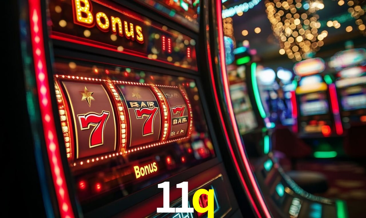 11q