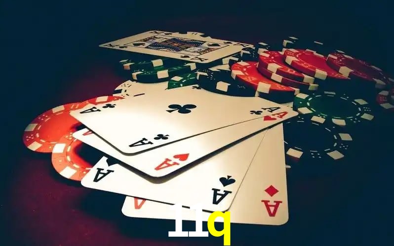11q visual 2